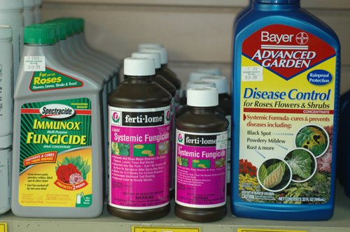 Fungicides - Disease prevention and control products